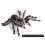 2Pcs 9.5cm Realistic Spider Insect Model Toy Scary Prop 3