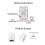 WiFi Temperature Switch with 1M Sensor Supports Voice Control 1