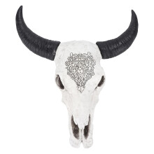 Hand-polished and painted bull skull wall decoration, firm surface, for background decoration