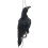 Realistic Hanging Dead Crow Decoy Lifesize Extra Large Black Feathered Crow 1