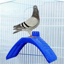 30 PCS Birds Pigeon Rest Stand Birds Rest Stand Bird Supplies