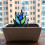 Sun Catcher Insert Simulation Plant Sun Catcher Home Decoration Blue 1