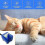 LED Light Pet Fountain Pump Motor with Water Flow Feature 2