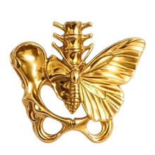 Anneaux en os de colonne vertébrale papillon, vêtements-Or
