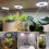 Φωτιστικό LED Full Spect Grow Light με Αυτόματο Χρονοδιακόπτη On/Off 4
