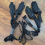 Bed Restraints Harness Wrist Ankle Cuffs Set 13
