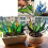 Sun Catcher Insert Simulation Plant Sun Catcher Home Decoration Blue 3