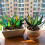 Sun Catcher Insert Simulation Plant Sun Catcher Home Decoration Blue 4