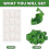 30Pcs Plant Clips for Climbing Plants, Self-Adhesive Plant Fixing Devices 3
