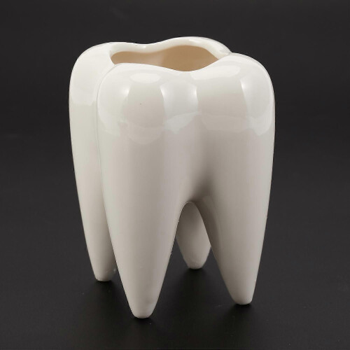 Tooth Shape White Ceramic Flower Pot Modern Design Planter Teeth Model Mini Desktop Pot Gift(without 2