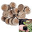 110 Pcs Professional Peat Pellets Plant Starting Soil Block Seedling 2