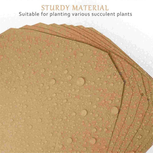 12 Pcs Mini Waterproof Kraft Paper Flower Pots 2