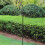 48inch Outdoor Shepherd's Hook, Heavy Duty Bird Feeder Post 3