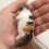 Σετ μπρελόκ Poke Cat DIY για αρχάριους, σετ χειροτεχνίας, χει 4