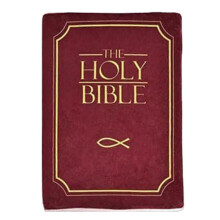 Cozy Faith Bible Pillow - Plush Book Shape With Bible Verse
