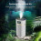Large Capacity Humidification in Office Cool Mist Humidifier B 4