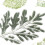 DIY Πράσινη σφραγίδα φύλλων με χειροποίητο λεύκωμα λογα 2