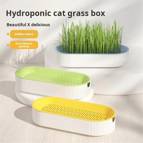 Hydroponic Cat Grass Box Cat Snack Hydroponic Soilless Planting Cat Grass Pot B 1