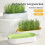 Hydroponic Cat Grass Box Cat Snack Hydroponic Soilless Planting Cat Grass Pot B 3