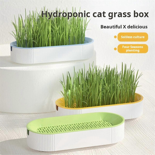 Hydroponic Cat Grass Box Cat Snack Hydroponic Soilless Planting Cat Grass Pot B 2