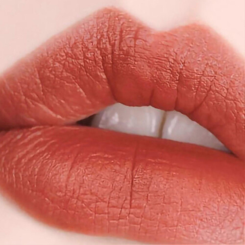Ματ Υγρό Κραγιόν Μακράς Διάρκειας Exquisite Colorstay Makeup Lip Lipstick Σετ για Κορίτσια 605