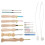 Punch Needle Kit Punch Needle Embroidery Kits Punch Needle Tool 3