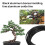 Anodized Aluminum Bonsai Training Wire(5 Sizes,Black) 2