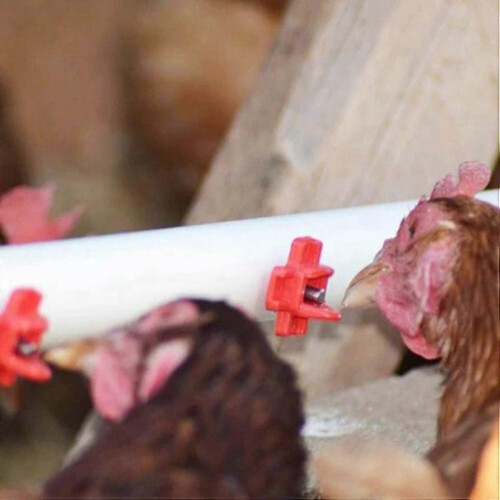 24 Pack Horizontal Side Mount Automatic Poultry Nipples Clean Drinker Waterer for Chicken or Quail 2