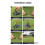 Swing Trainer Corrector Training Angle Adjustment Posture Correction Swing Trainer Training Accesso 4