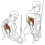 2X Heavy Duty Tricep Pull Down Single Rope with Snap Hook, Fitness Attachment Cable Machine Pulldown Rope for Home Gym 3