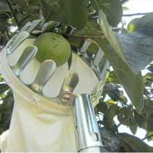 Fruit Picker Basket Or Fruit Picking Tools, Fruits Catcher For Harvest Picking Citrus Pear Peach