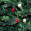 Christmas Tree Decorations Pink Wool Balls 24 pcs 5