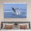 Púkpáncélos vászonposzter 60x90 cm 4