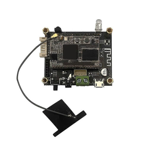 Μονάδα λήψης ήχου D10 WiFi και Bluetooth 5.0 Αναλογική έξοδος I2S E