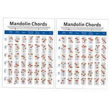 Mandolin Chord Chart for Beginners, Fast Visual Reference and Easy Reading Guide for Students