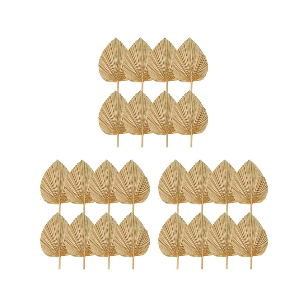 24Pcs Dried Leaves Decorations Trimmed Dried Spear Fans Tropical Dried Wedding Flowers Boho Wedding Decor 4712661933899