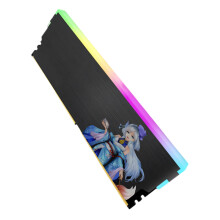 Efficient Memory Heat Spreader With Customizable ARGB-Black
