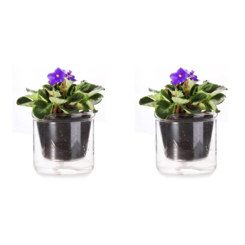 2X Vaso Autoirrigável de 4 Polegadas, Vaso para Violeta Africana, Vaso de Vidro com Fundo Irrigável para Plantas de Interior e Propagação