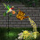 Adorable Sun Activated Bird Watering Container Light For night 4