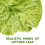 Artificial Lettuce Leaves PVC Photo Props 9 pcs 2
