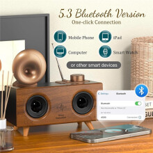 Draagbare -Luidspreker met AM/FM-Radio, USB/TF/AUX-Speler, Oplaadbare Retro Draadloze Luidspreker voor Thuis en Buiten