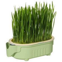 Biologische Kattengras Plantenbak Set, Verlichting van Haarballen, Natuurlijk Hulpmiddel voor de Spijsvertering, Kweek Je Eigen Kattengras Voerbak Set