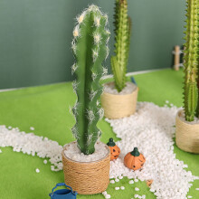 1:6 Casa de Bonecas Vaso de Cactos em Vaso de Flores Vaso de Flores Vaso de áRvore Casa de Bonecas Brinquedo DecoraçãO, C