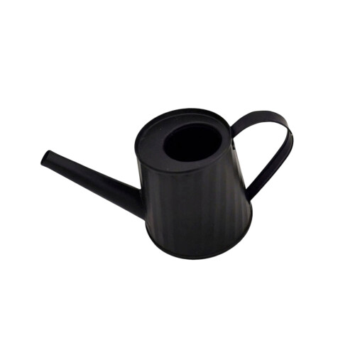 Durability Watering Can Capacity Long Spouts Controlled-Black