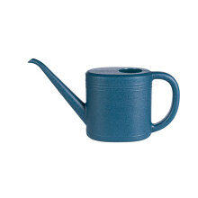 1L/2L Gießkanne für Zimmerpflanzen, Gießkanne mit langem-Blau 1L