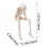 Skeleton Figurines Set of3Halloween Decor 3