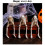 Skeleton Statue Set See Speak Hear No Evil 3 pcs 4