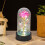 Rose Galaxy conservée sous dôme de verre avec lumière LED 4