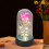 Rose Galaxy conservée sous dôme de verre avec lumière LED 5