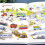 Selves Learning English Learning Activity Book With Talking 5